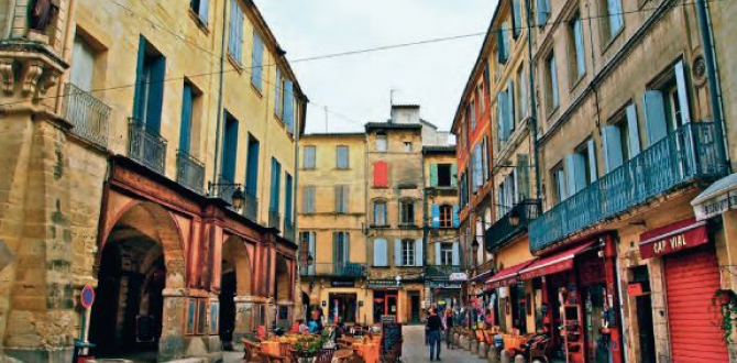HOTEL DES OLIVIERS