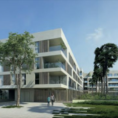 JARDIN DE MATISSE
