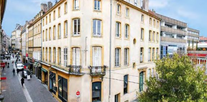 RUE DE LA TETE D OR