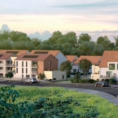 DOMAINE DES ORMES