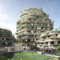 JARDINS D ARBORESCENCE